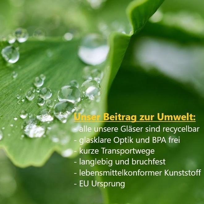 Kunststoffglas Bierglas Weizen | 0,5L | 2er Set