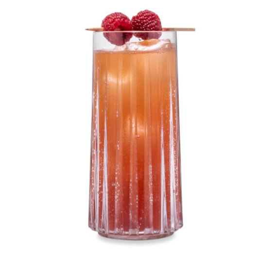 Kunststoffglas Longdrink Reflex Hi-Ball  | 2-er Set